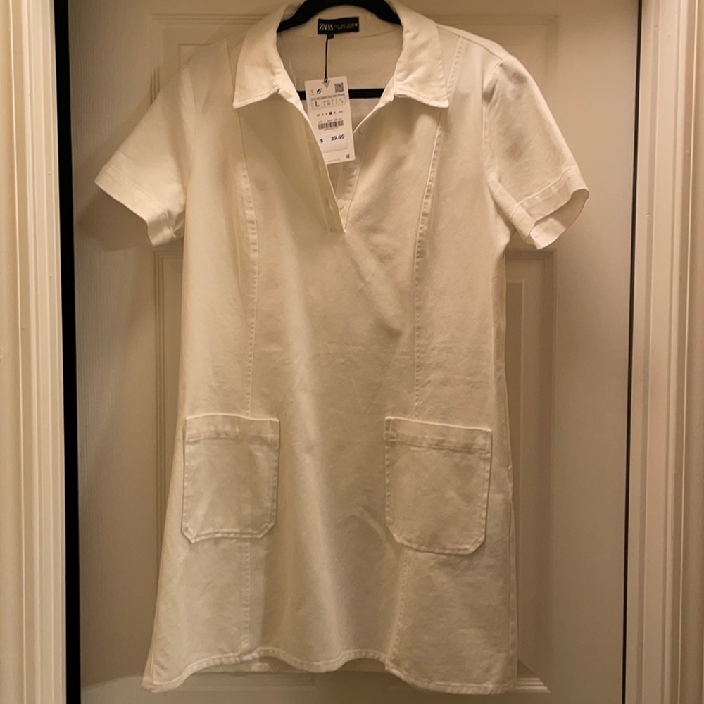 Zara Dress!